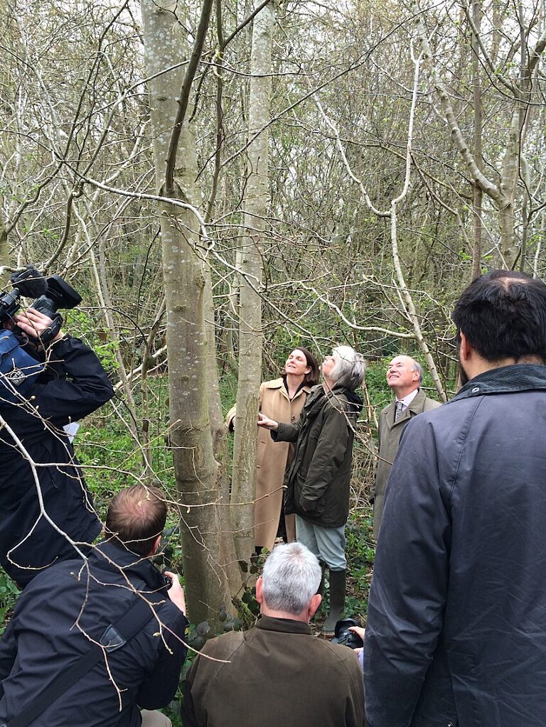 Defra’s Nicola Spence (left), researcher Dr Anne Edwards (centre) and Defra minister Lord Gardiner view a tree tolerant to ash dieback at the launch of the Nornex Report