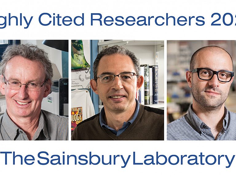 TSL Highly Cited Researchers 2020