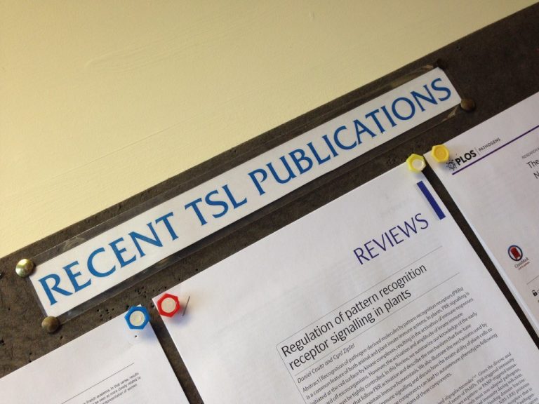 Generic image for TSL publications