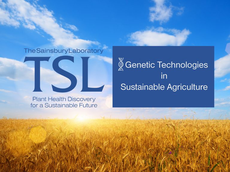Graphic showing the TSL logo against a background of a wheat field with blue sky and sun.